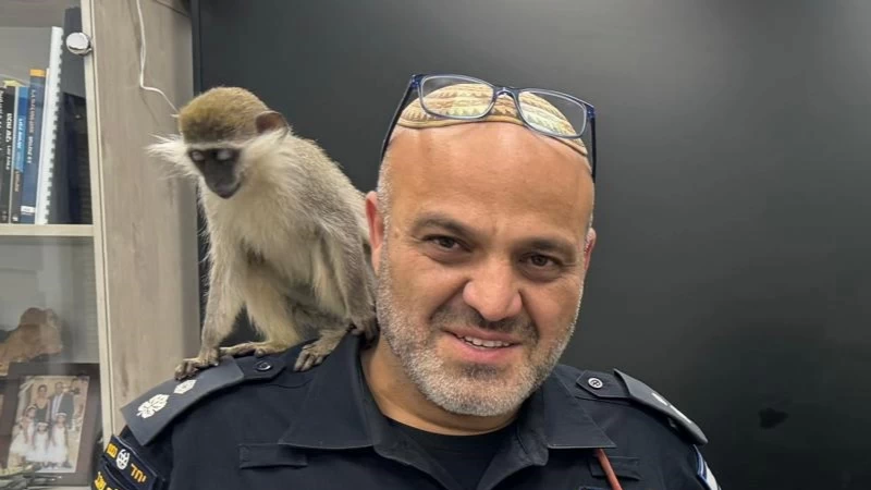 רונן עמרם ואחד הקופים שנתפסו בנגב